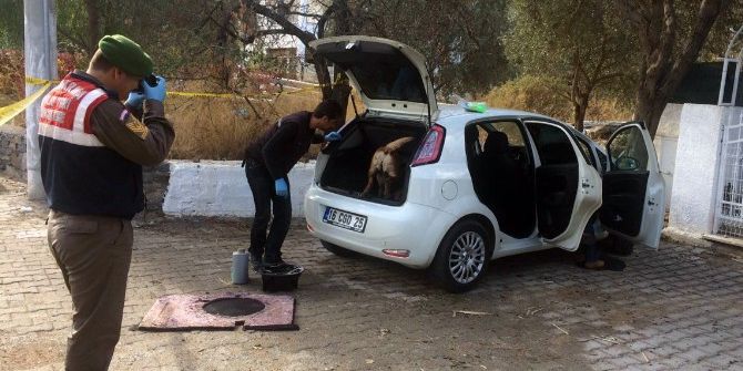 Bodrum’da Uyuşturucu Operasyonu