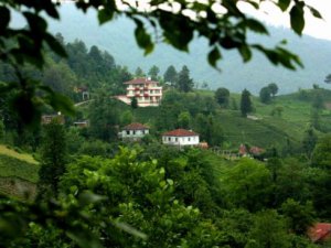 Artvin Ulaş Köyü