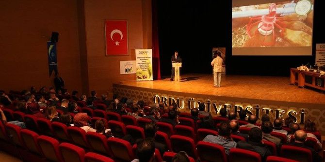 Karadeniz’de Organik Yumurta Atağı