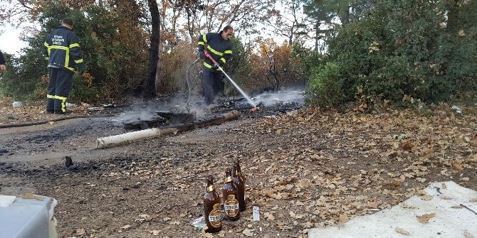 Ayyaşlar Az Kalsın Ormanı Yakıyorlardı