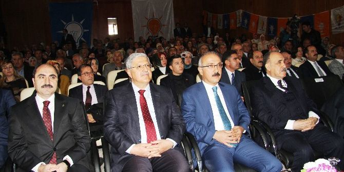 Ak Parti Genel Başkan Yardımcısı Vedat Demiröz;