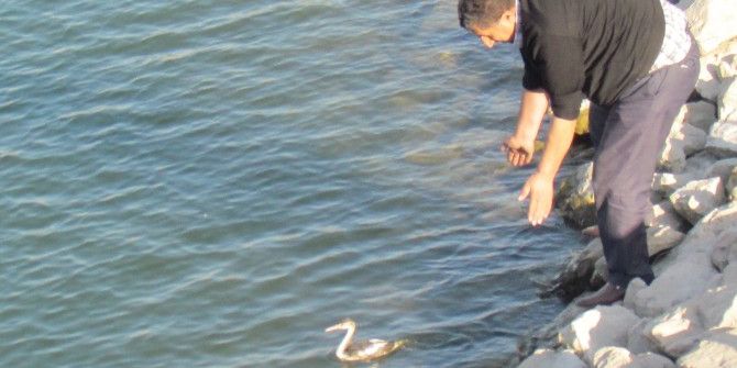 Tedavisi Yapılan Yaralı Bahri Kuşu Doğaya Bırakıldı