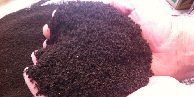 Başbakan’ın Açıklamaları Gözleri Bir Kez Daha Solucan Gübresine Çevirdi