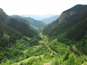 Artvin Balıklı Köyü