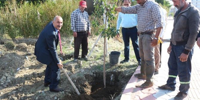 Arsuz’da Hedef Daha Yeşil Bir Kent
