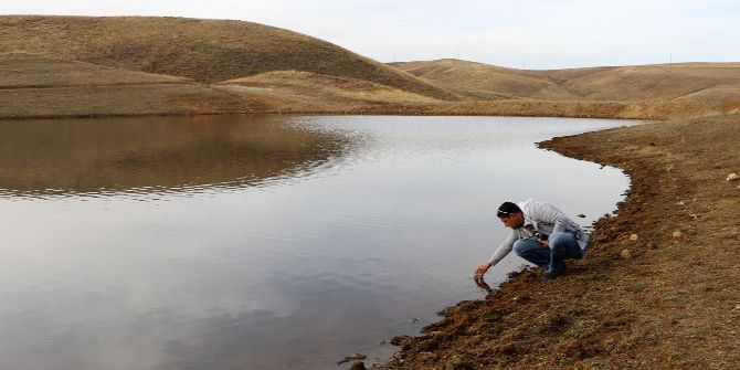 Büyükşehir Ve Aü’den “Göletleri Balıklandırma Projesi”