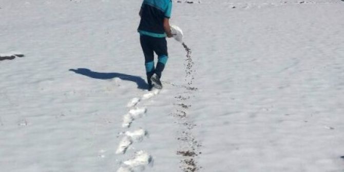 Büyükşehir Yaban Hayatını Koruyor