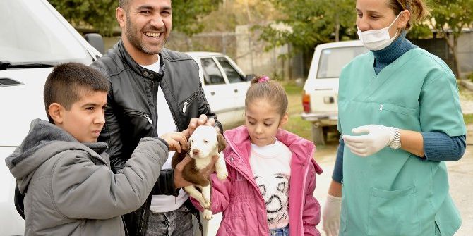 Büyükşehir, 10 Ayda Bin 51 Sokak Köpeğine Yuva Buldu