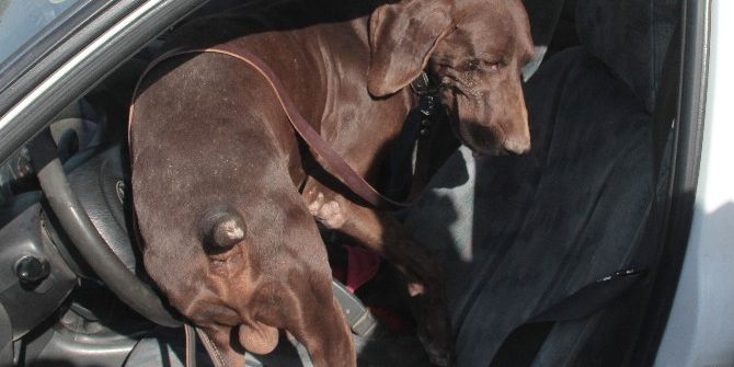 Polis-jandarma İşbirliğiyle "Bomba" Uygulaması