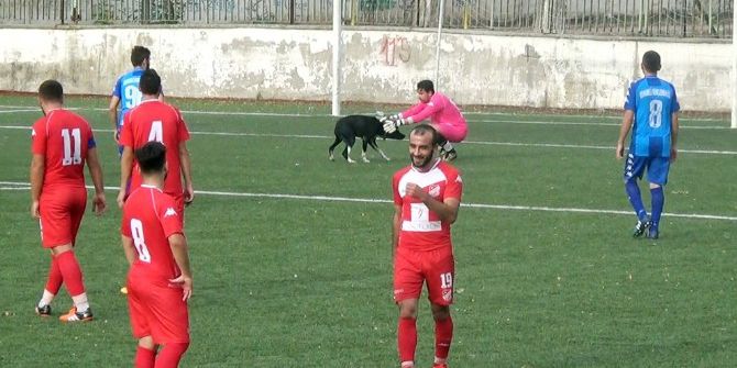 Taraftarların Kavgasından Kaçan Köpek Sahaya Atladı