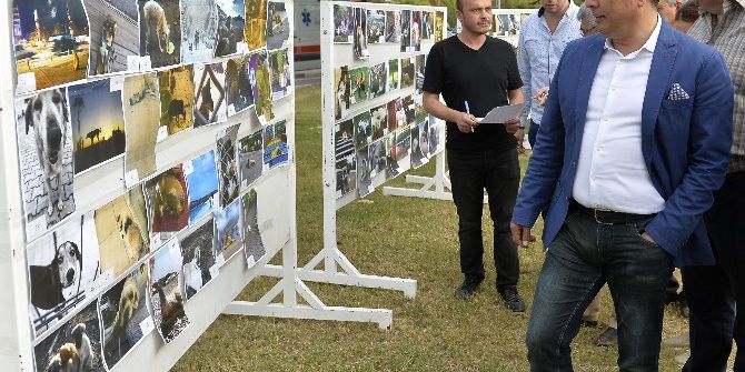 Muratpaşa’da Sokak Hayvanları Festivali Düzenlendi