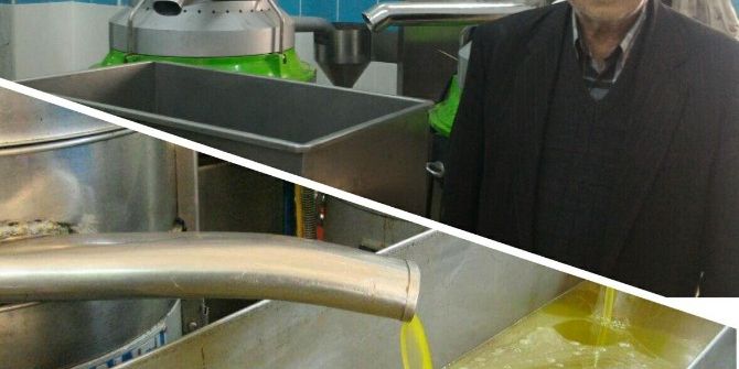 Kilis’te Zeytin Hasadı Başladı