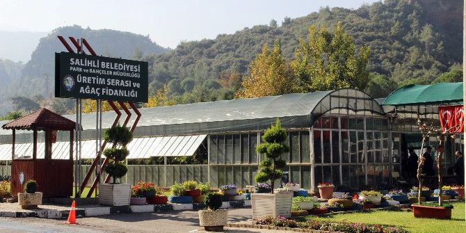 Belediyenin Jeotermal Enerjili Serası