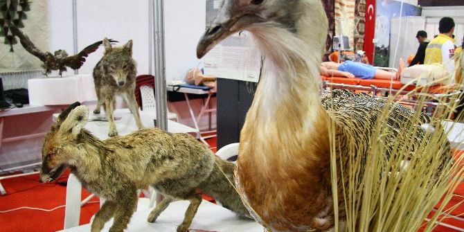 Van’da Tahnit Sergisine Yoğun İlgi