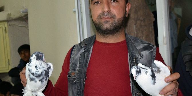 Otomobil Fiyatına Güvercin