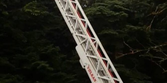 Çam Ağacında Kalan Kedinin İmdadına İtfaiye Ekipleri Yetişti