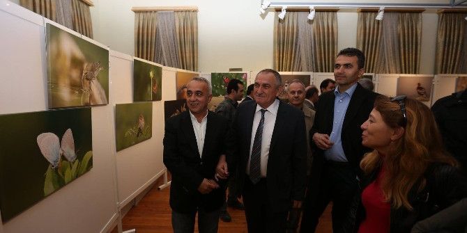 Başkan Yılmaz Kuşlar Ve Kelebekler Sergisinin Açılışını Yaptı