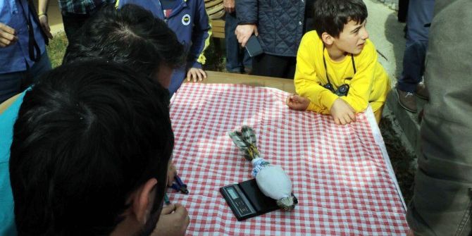 Rize’de Atmacalar Doğal Yaşama Bırakıldı