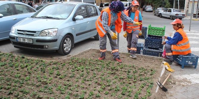 Söke’de Park Ve Bahçeler Kadın Eli İle Güzelleşiyor