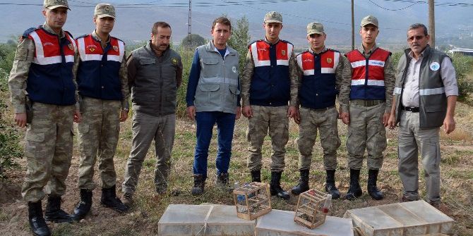 Kaçak Avcılara Ceza Yağdı