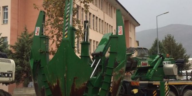 Ağaçlar Kesilmek Yerine Nakledildi