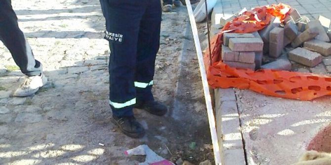 Kuyuya Düşen Köpek Kurtarıldı