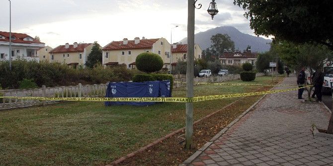 Paraşüt Pilotu Yol Kenarında Ölü Bulundu