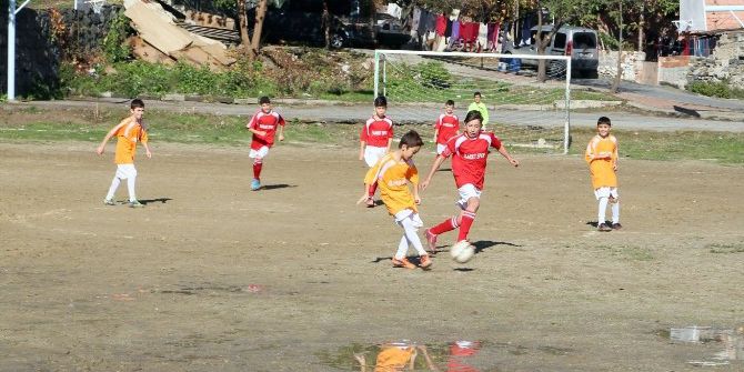 Kupalarını Başkan Aydın’ın Elinden Aldılar