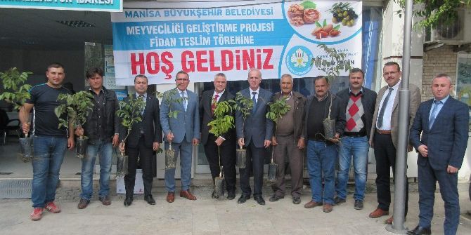 Ceviz Diyarına Büyükşehir Desteği