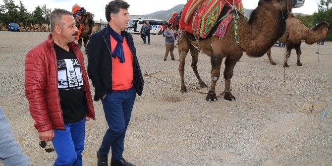 Bodrum’da Yılın İlk Güreşi