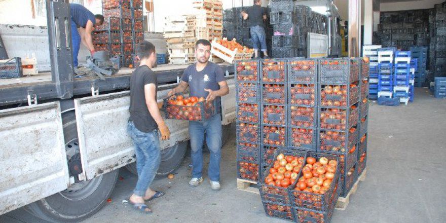 Rusya İle Normalleşme Meyve Ve Sebze Fiyatlarını Yükseltti