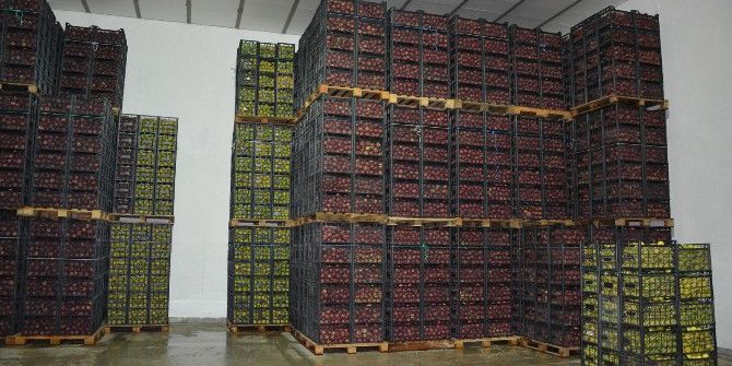 Elma Depoda Alıcı Bekliyor