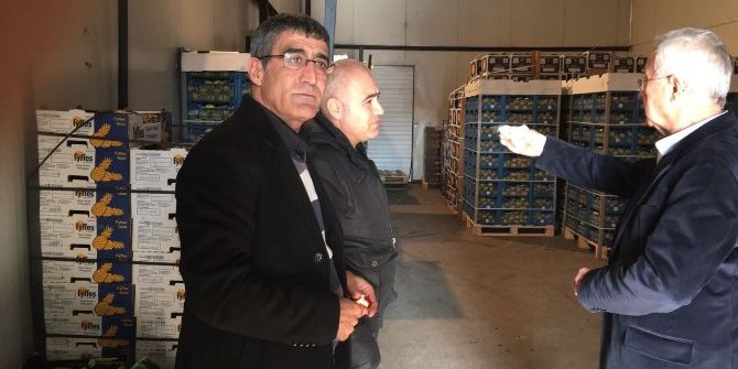 Bükreş Hali Akhisar’a İlham Verecek