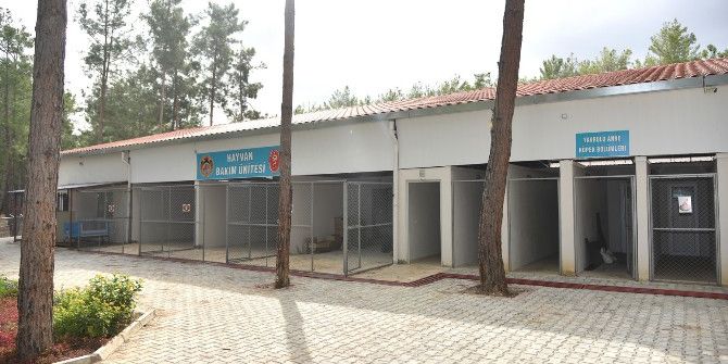 Alanya’ya Hayvan Barınağı Açılıyor