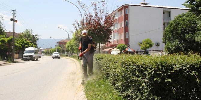 Park Ve Bahçeler Müdürlüğü Ekipleri Ağaç Budama Çalışmalarına Başladı