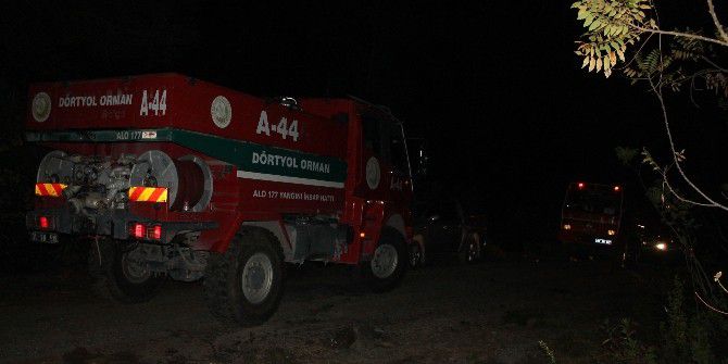 Hatay’da Orman Yangını