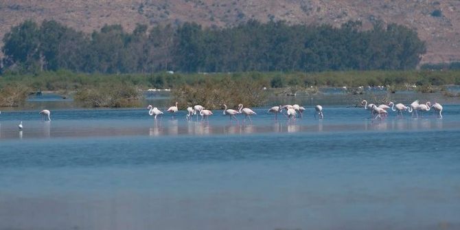Genç Gözlemciler Bafa Gölü’ndeki Kuşları Fotoğrafladı