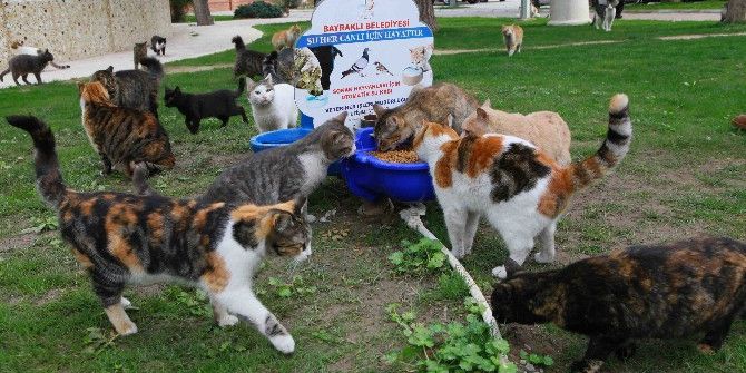 Can Dostlara 5 Yıldızlı Hizmet