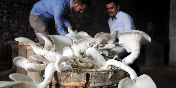 Günde 15 Dakika Ayırıp Yılda 30 Bin Lira Kazanacaklar