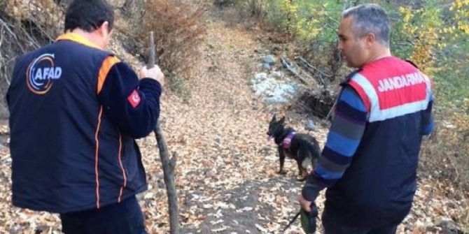 Niksar’da Kaybolan Alzheimer Hastası 13 Gündür Aranıyor