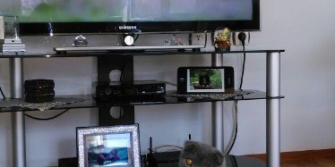 Entelektüel Kedi Günde 5 Saat Belgesel İzliyor