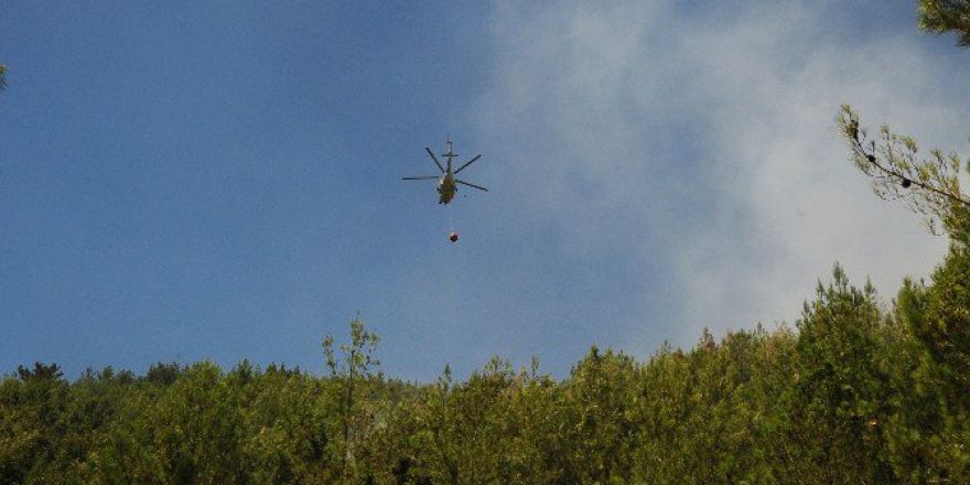 Alanya’daki Orman Yangını Kontrol Altına Alındı
