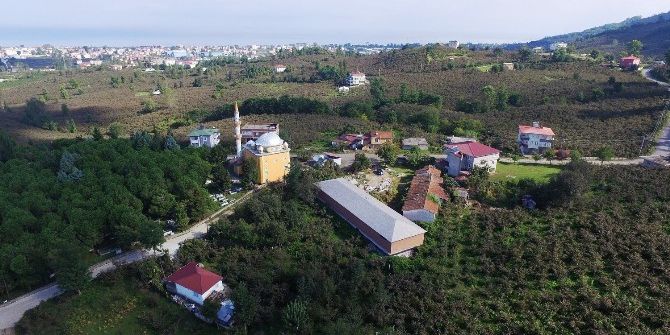 Altınordu Belediyesi’nden Milyonluk Tesis