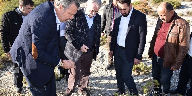 Fosil Ağaç Alanı Ziyaretçilere Açılıyor