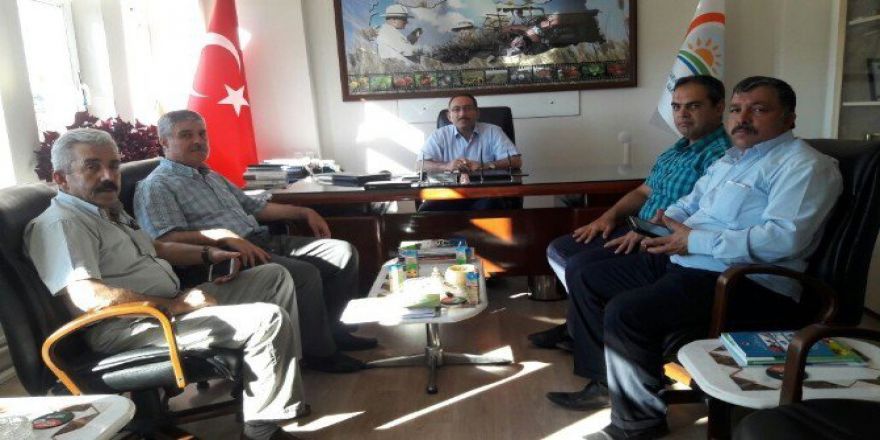 Çiftçilere Müjde Tmo Bilecik’ten Buğday Alımı Yapacak