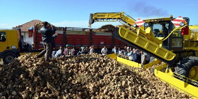 Mauslar Sayesinde Yılda 150 Dekar Arazi Tarıma Yeniden Kazandırılıyor