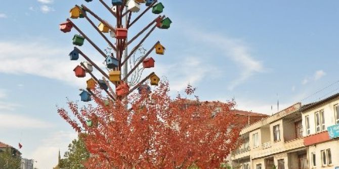 Belediyeden Kuşlara Yuva