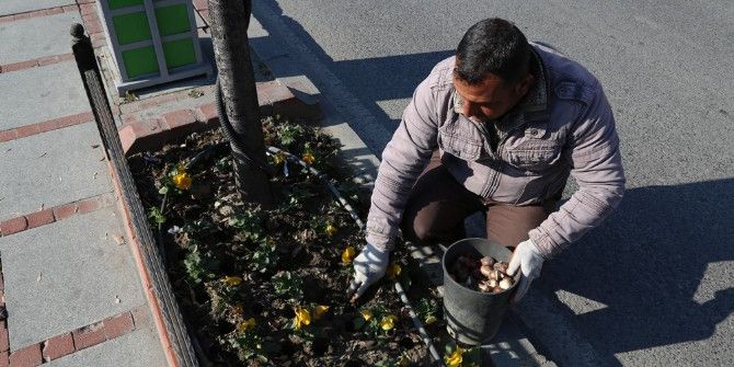 Edirne Laleler İle Renklenecek