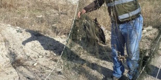 Saka Kuşlarını Usulsüz Avlayan Avcıya 2 Bin 696 Lira Para Cezası