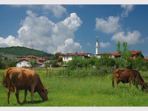 Kastamonu Akılçalman Köyü